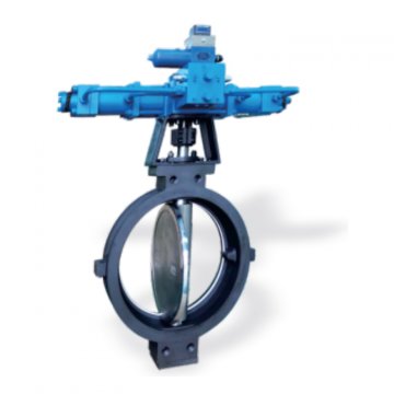 Butterfly Valve