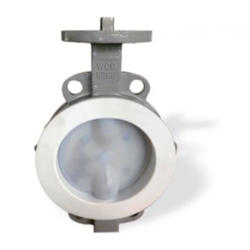 Butterfly Valve