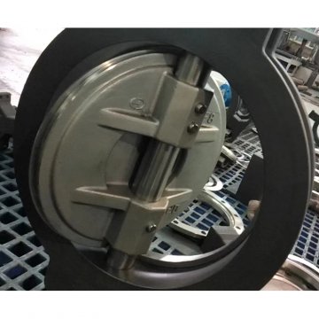 Butterfly Valve