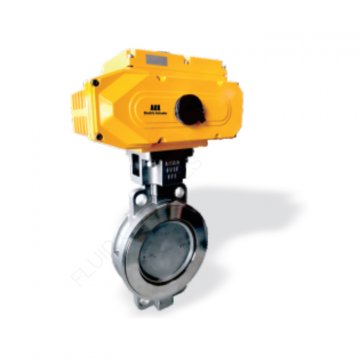 Butterfly Valve